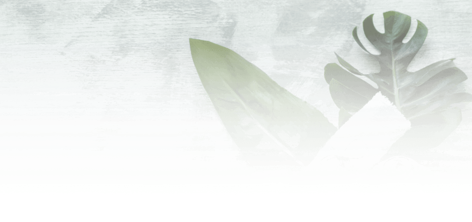 Wellness 145